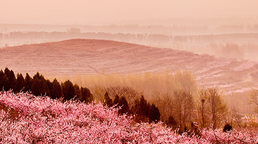 �������š�(�й���)���޹�˾����